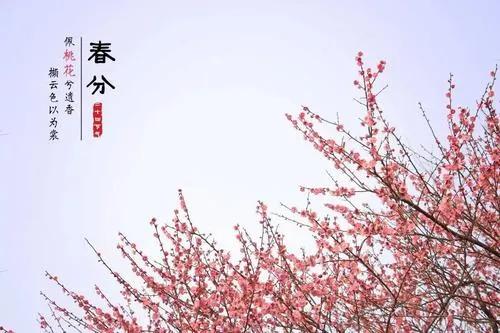 今日春分,2020春分节气祝福语大全,春分图片带字带祝福语