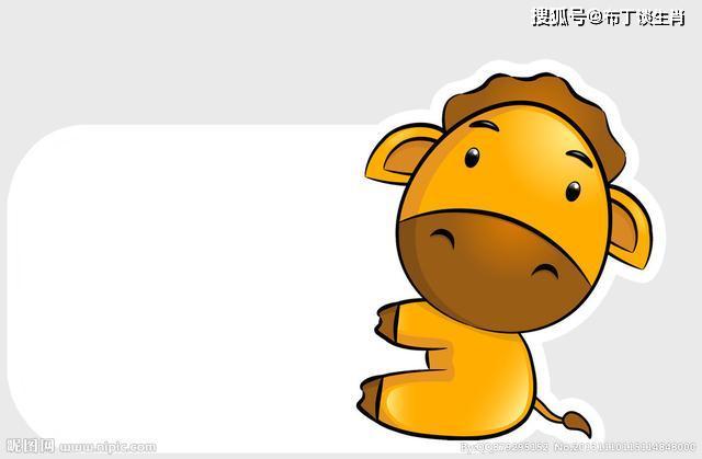 『宝宝』出生在哪个时辰会出人头地，快来看看十二生肖宝宝