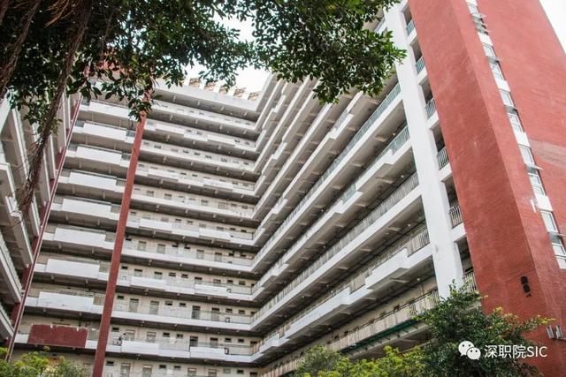 志愿■懵！学考志愿什么时候填？需要到大学现场确认？