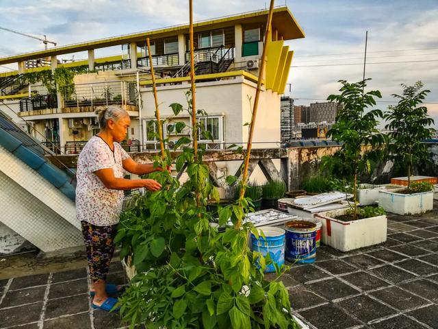 每个盖违章建筑的人，都做着一个包租婆的梦