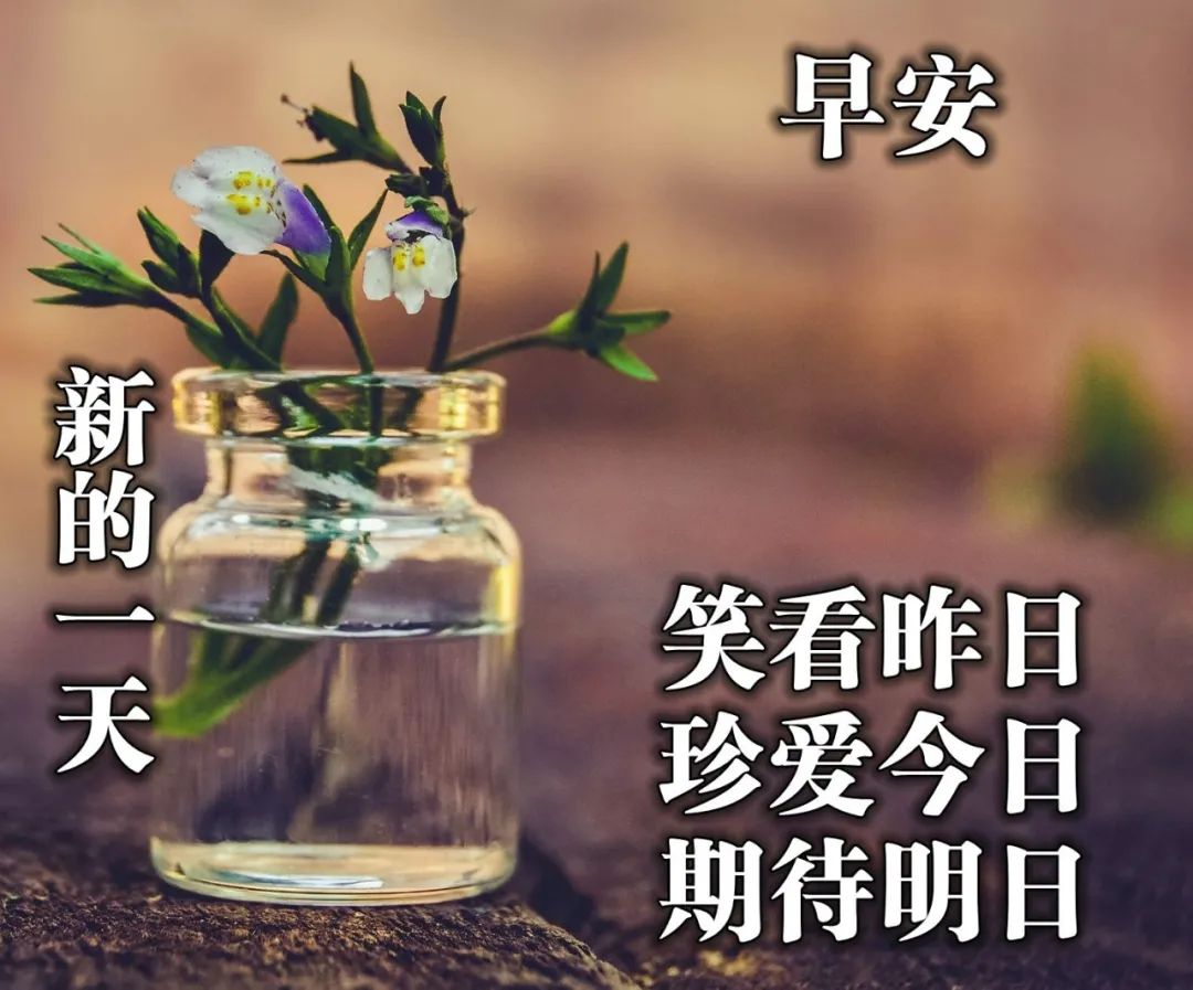 新的早上好问候语图片大全 2020早上好祝福语及关心