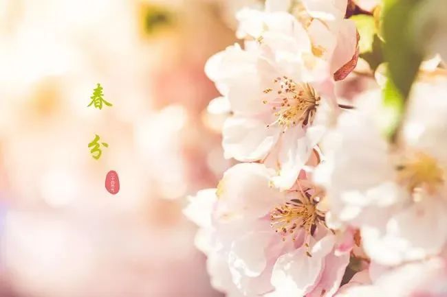 分享春分玄鸟至雷乃发声始电
