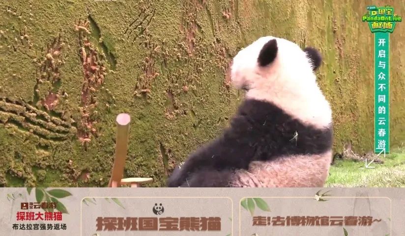 上,现在淘宝直播内容生态已经十分丰富了,但是最初的带货属性深入人心