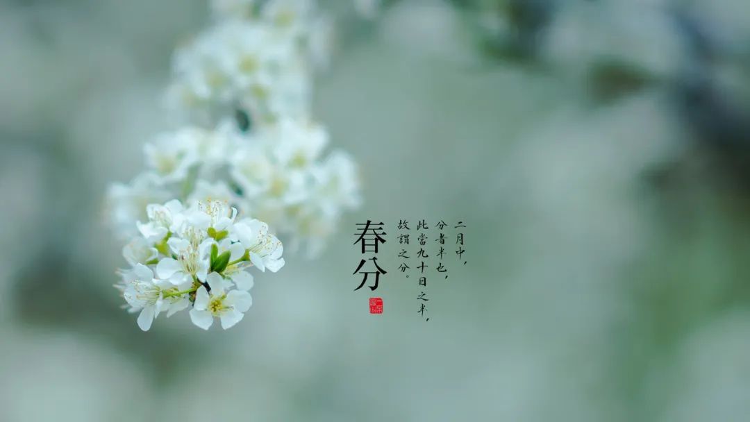 5b5f033c79d04233b57d66280a8d763f.jpeg