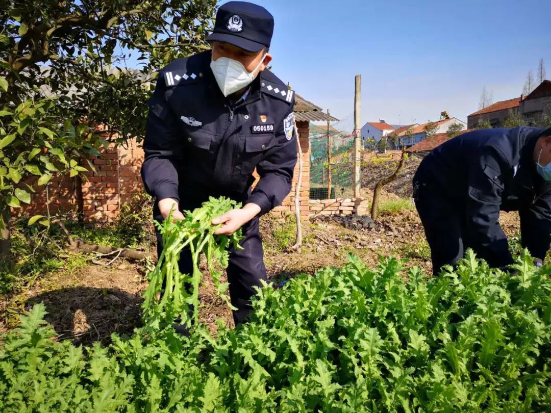 战疫不退 铲毒不止_禁毒