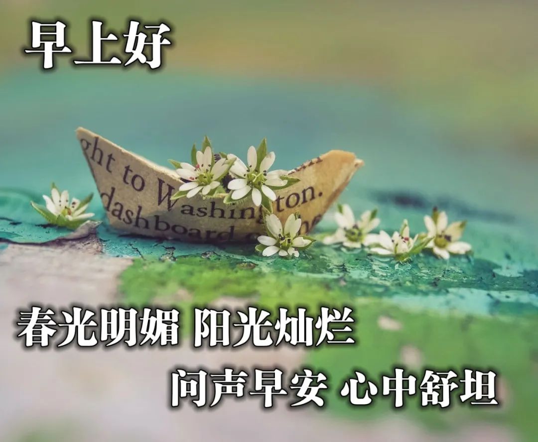 新的早上好问候语图片大全 2020早上好祝福语及关心