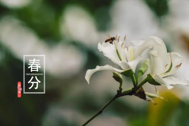 65e11035ab8d45549e2499df4d7b9361.jpeg