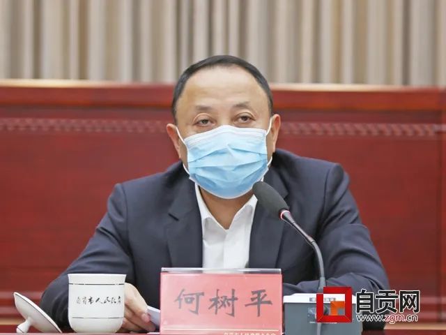 何树平加快推动项目建设力促投资恢复增长为自贡高质量发展提供强有力