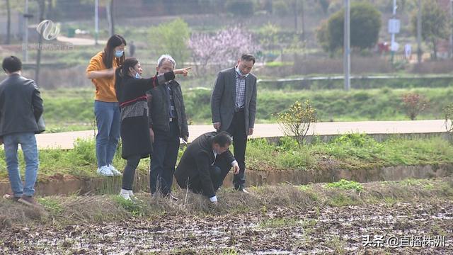 短剧中的传奇人物——石天宝