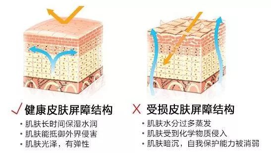 文章配图-3