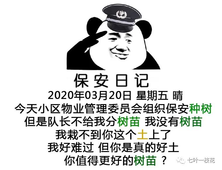 7c9b9a0fa9134ad4bb836848caa85f8a.jpeg