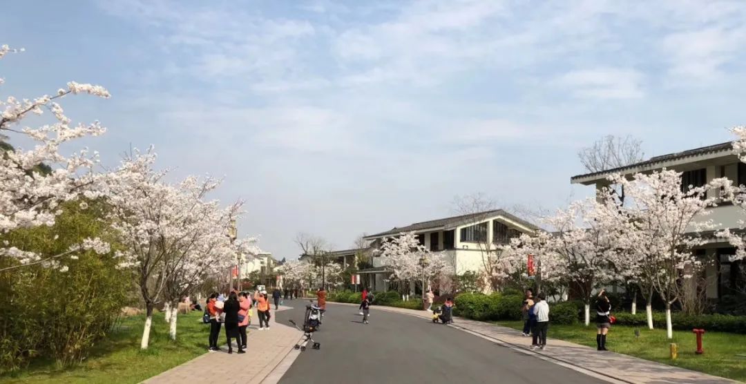 湘湖金融小镇