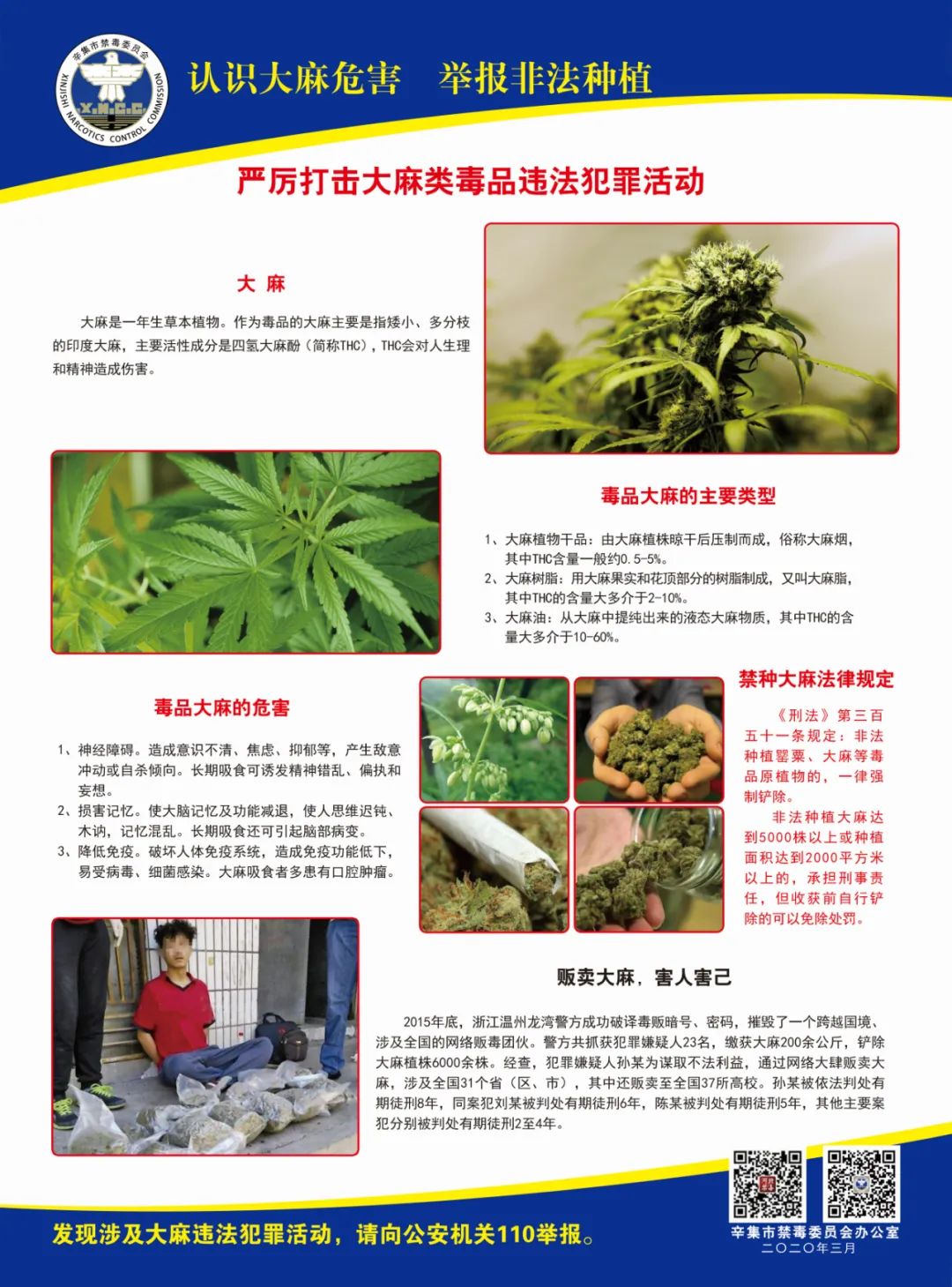 重点人口的户口_重点色布偶(2)