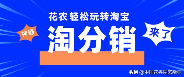 一件代发 自动分帐 淘宝"淘分销"来了 动态