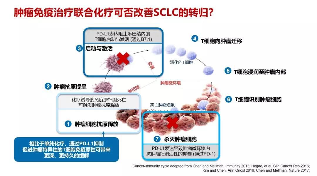 什么是小细胞肺癌免疫治疗法 84d328422eb146229c4c911b4e1bd835.jpeg