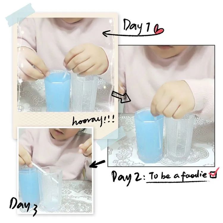 实小】居家学科学 会流动的水 一.13 刘若惜