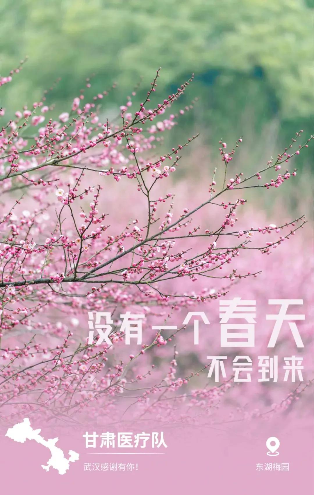 8ffe155b99b8427dbae050789770d02d.JPG