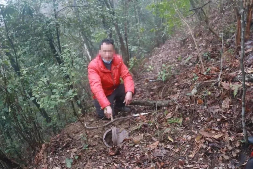 黄平一男子因手头拮据猎捕野猪不抓你抓谁