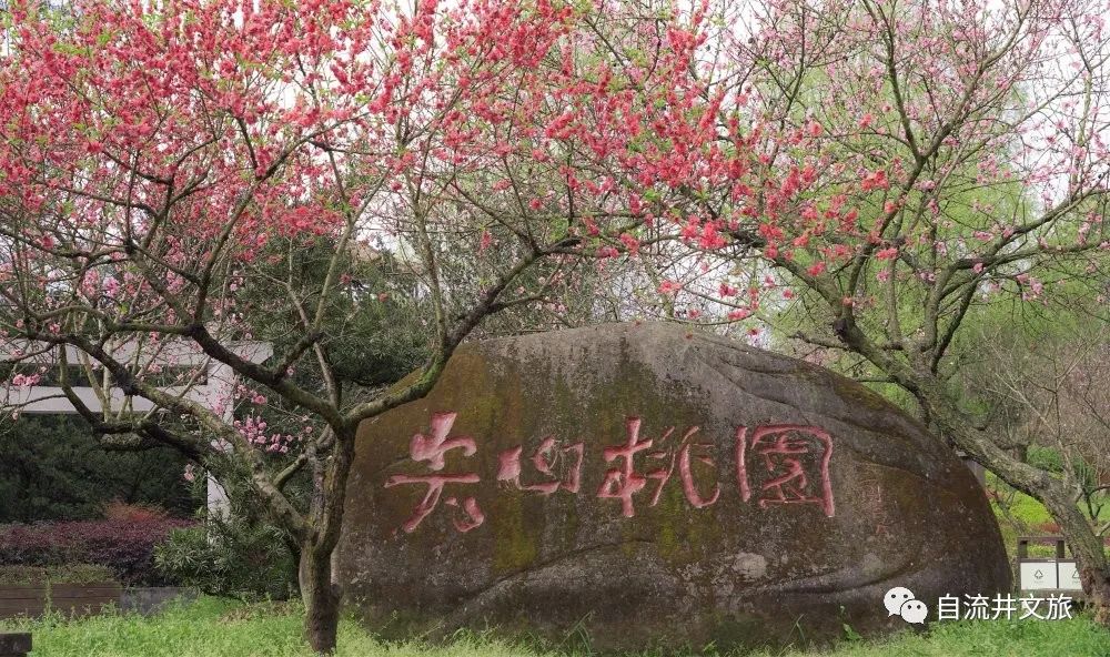 云和人口流出_云和梯田(2)