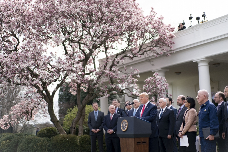 《纽约时报》整理特朗普2个月发言，嘲讽其不断
