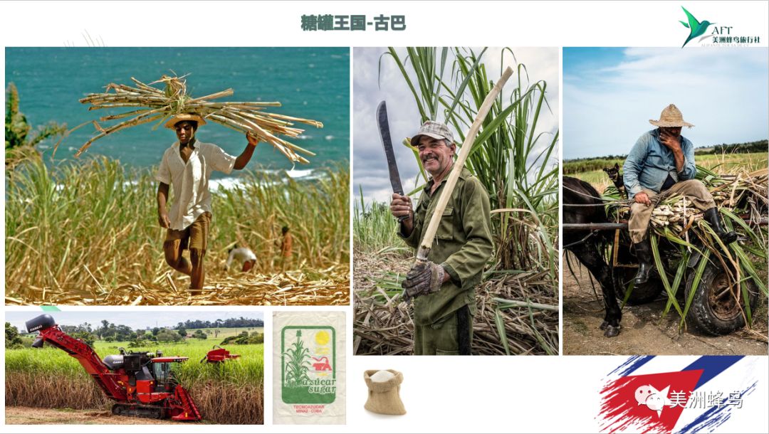 古巴—熟悉又陌生的伊甸园-搜狐大视野-搜狐新闻