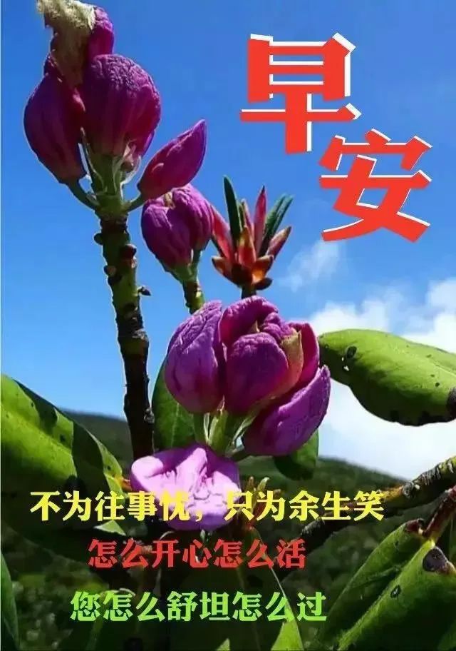 3月20日周五群发早上好问候祝福动态表情图片 3月最美