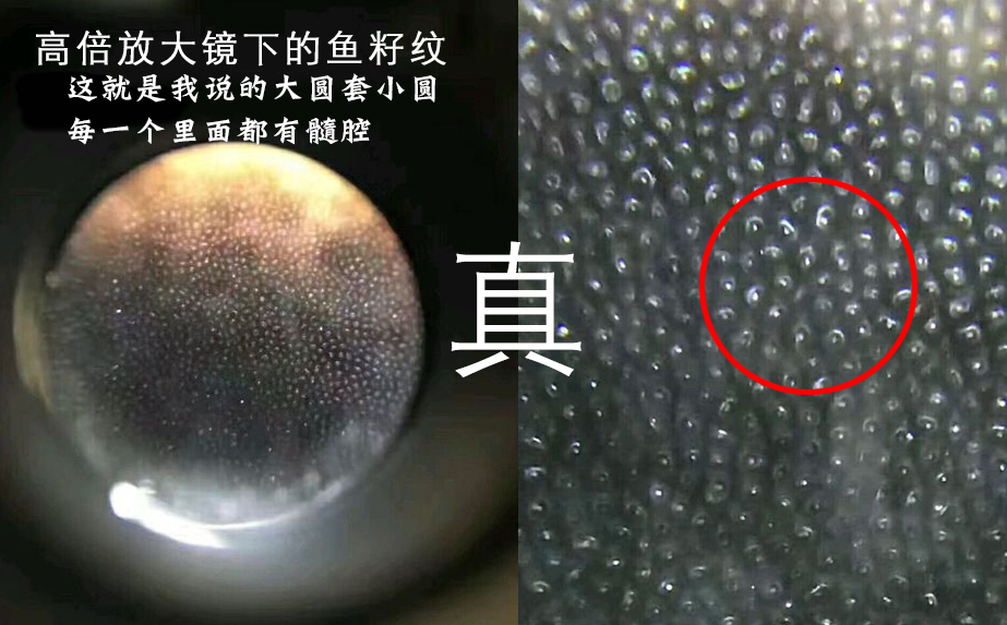 看过这篇文章,你可以分辨市面披毛犀角藏品真假