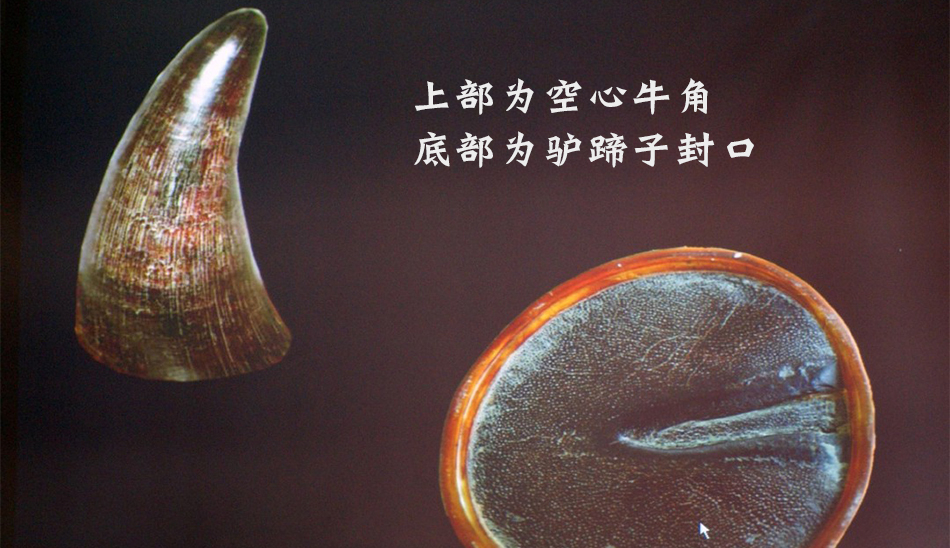 看过这篇文章,你可以分辨市面披毛犀角藏品真假
