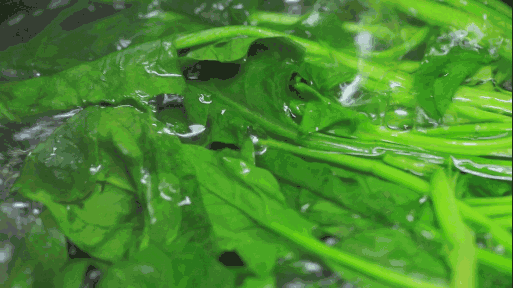 a55d4f41641242f2b495c2603cea9e14.gif