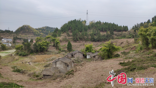 千亩田野日日新昔日荒地变良田记蓬溪县明月镇撂荒地治理四种模式