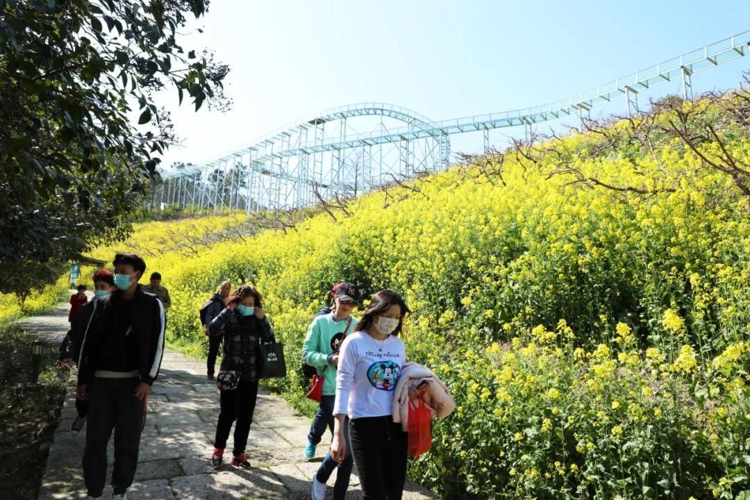 长兴城山沟第十二届桃花节今天开幕啦!