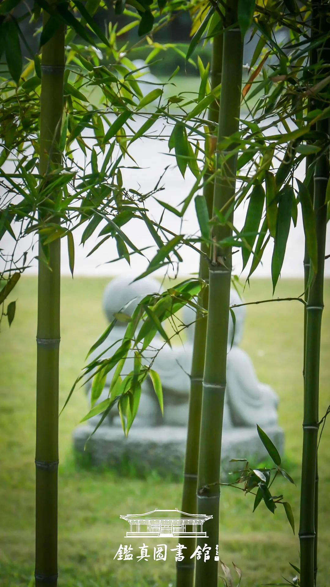 鉴真好书分享｜《佛教•概论》：心净，则国土净_搜狐网