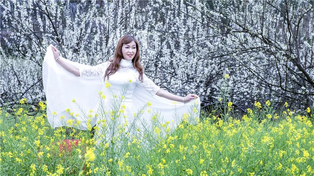 全州两河鲁水李花盛放芬芳四溢!