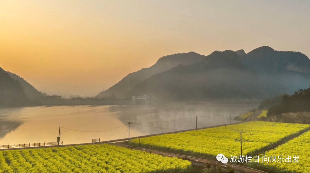 春到布谷湖 骑马去观花_油菜花