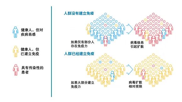 新冠病毒感染人口比例排名_新冠病毒感染图片