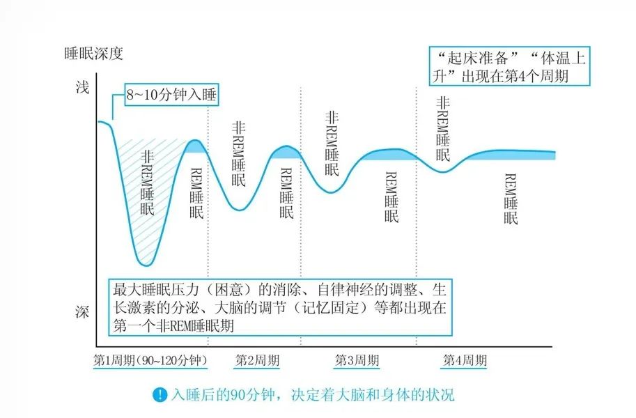 图片中横坐标指的是时间和睡眠周期,纵坐标指的是睡眠深浅度.