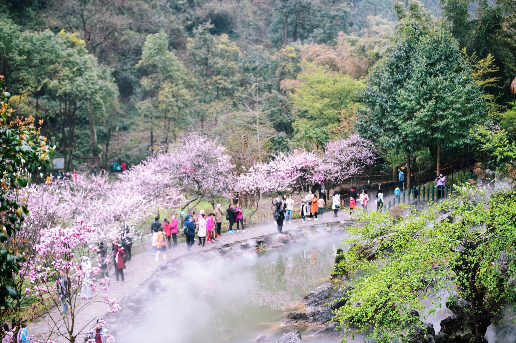 原来世界上真有“桃花源”，就藏在重庆武陵山腹地，知道的人不多_手机搜狐网