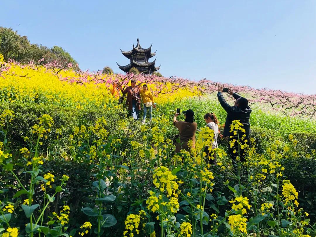 长兴城山沟第十二届桃花节今天开幕啦!