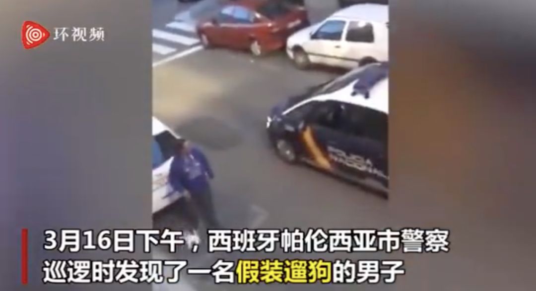 翻车了！西班牙网友外出遛“假狗”被警察逮住