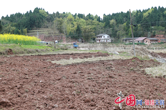 千亩田野日日新昔日荒地变良田记蓬溪县明月镇撂荒地治理四种模式