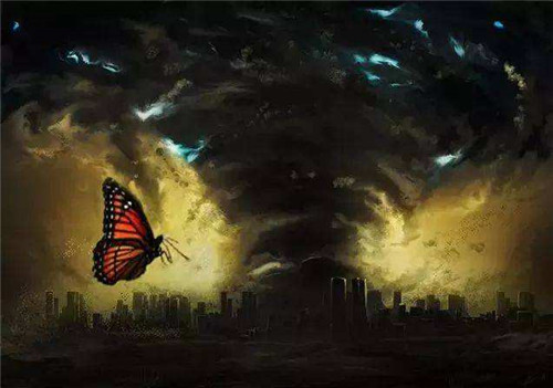 梦境中的温柔释放，梦见抓到兔子又给放了