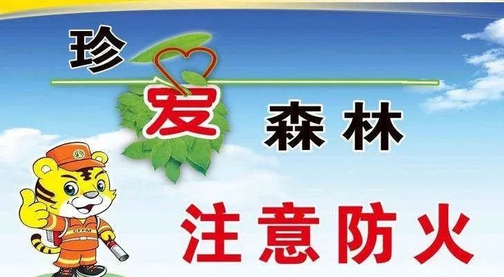 19森林消防宣传日 音坑干群这样过_防火