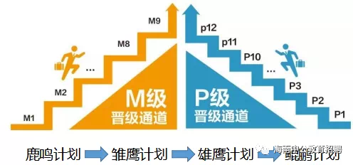 管培生招聘_佳兆业销售管培生招聘(2)