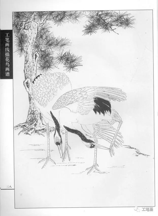 百鸟画谱仙鹤篇