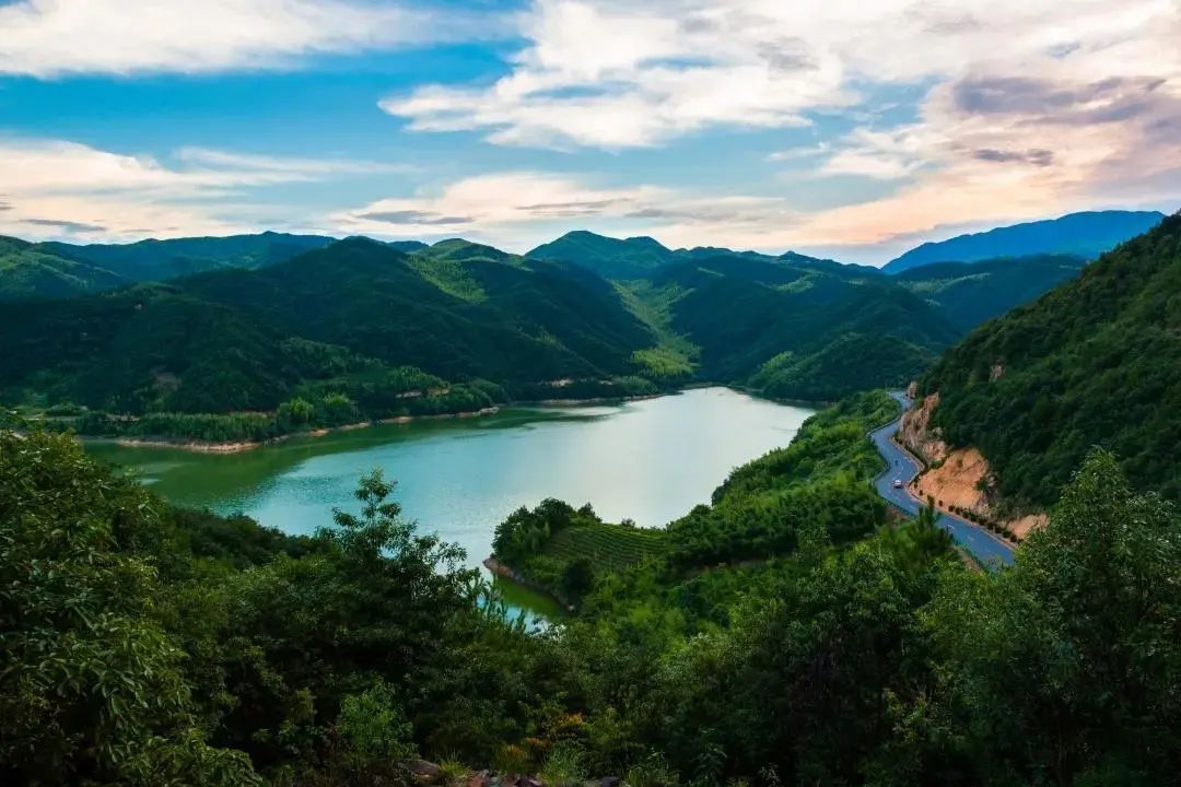 世界森林覆盖率排名_林业局:到本世纪中叶森林覆盖率达到世界平均水平