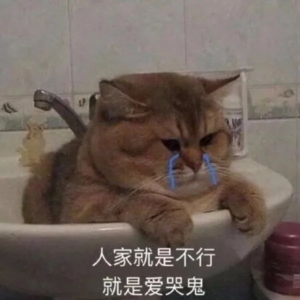 是猛男当然要用这个一组猛男必备表情包送给大家