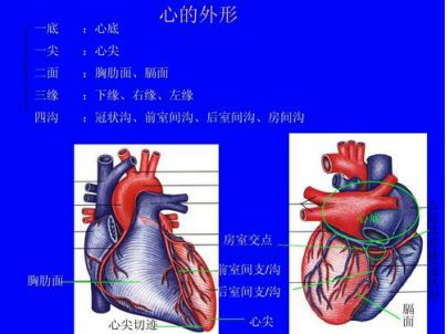 杀死自己的目标,还能不被人发现,真是聪明啊!