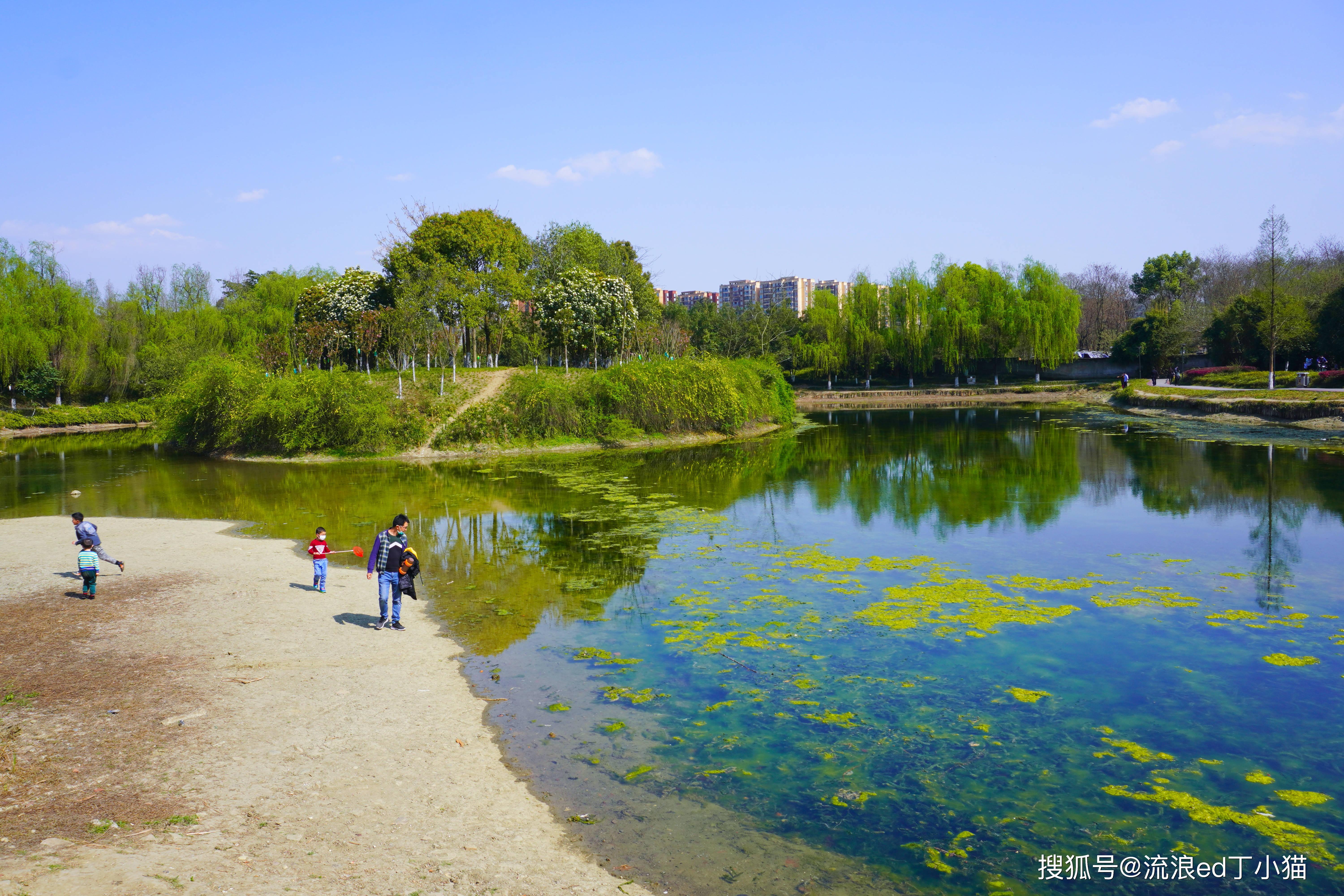 成都这座因修地铁而生的公园不仅暗藏海滨美景还为仙凡冥分界