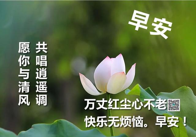 最新最暖早安图片 特别漂亮的早上好图片