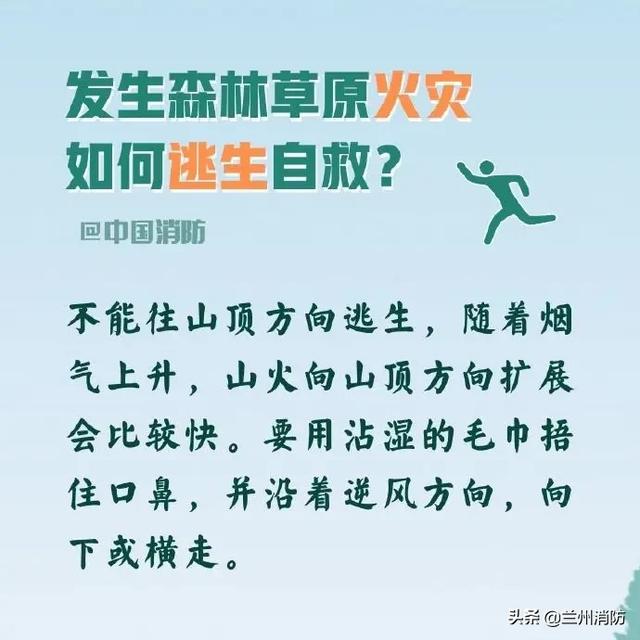 发生森林火灾怎么办